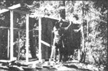 Building the woodshed.